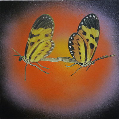 papillons